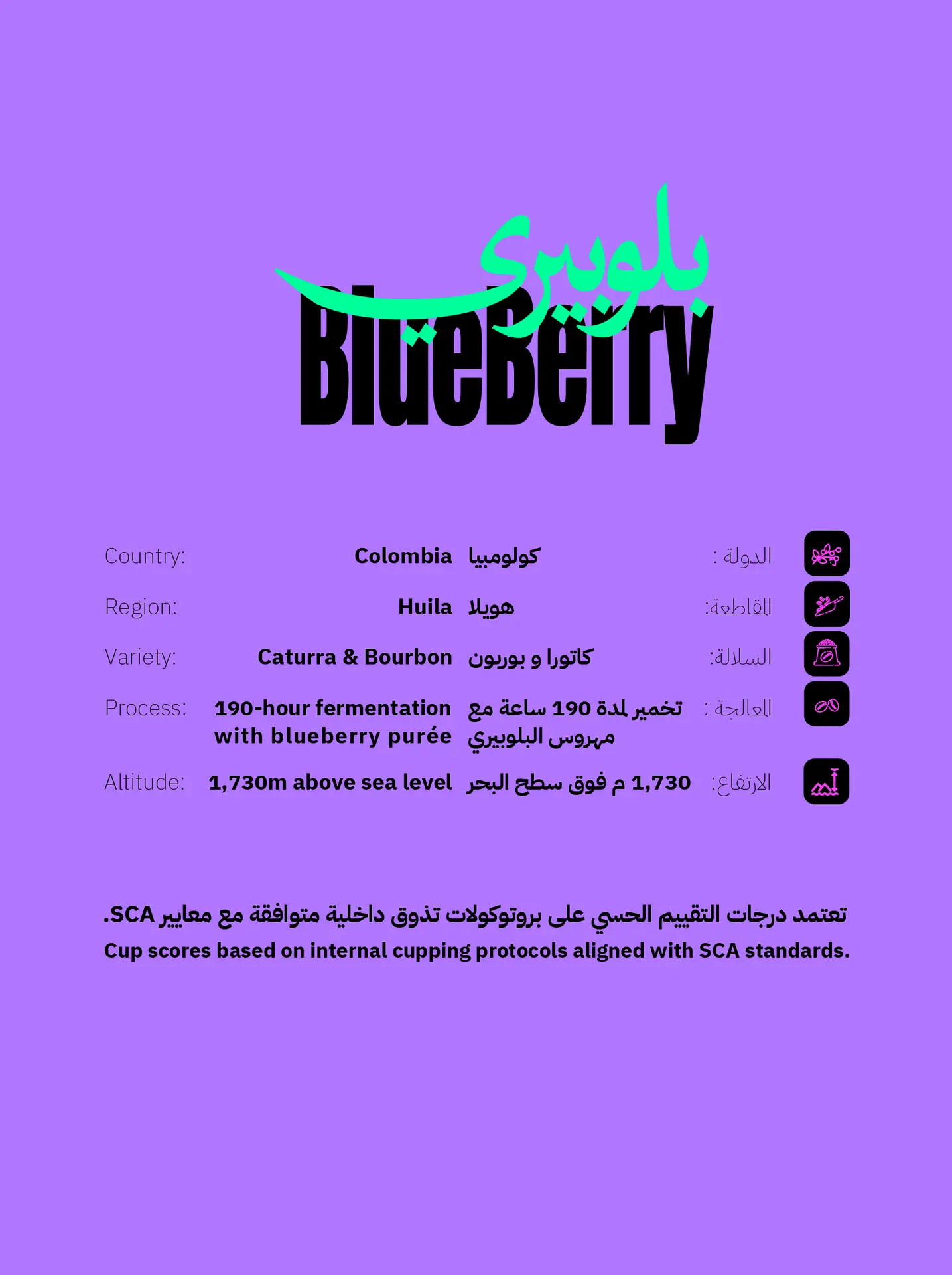 selection-blueberry-coffee-colombia-huila-specs.webp