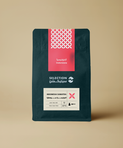 اندونيسية سومطرة